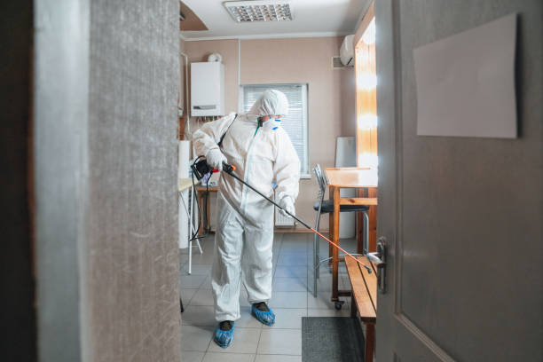 Best Environmental Consulting for Mold Prevention  in Vinco, PA