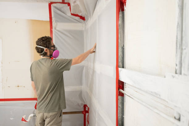 Mold Remediation for Vacation Homes in Vinco, PA